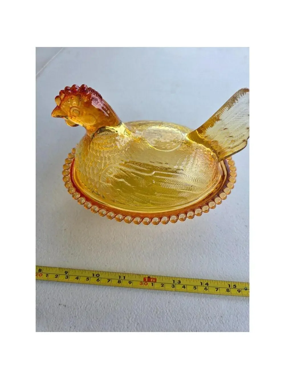 Indian Glass Hen on Nest